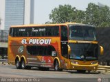 El Pulqui S.R.L. 019, por Alfredo Montes de Oca