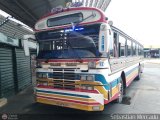 Colectivo San Rafael (El Mojn) 12