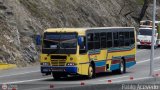 Expresos Pegamar 0015