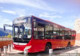 Trolmerida - Tromerca M22-05