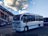 Uni�n T�chira 104 por Jes�s Valero