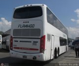 Expresos Flamingo 0103