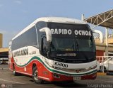 Rpido Ochoa 10200