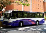 Transporte Privado Joaranny 208 por �ngel Sal�n
