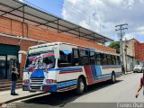 Transporte Colectivo Palo Negro 007 por Esmirs Osal