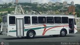 Expresos Pegamar 0020