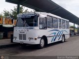 S.C. L�nea Transporte Expresos Del Chama 203 por Aaron Rodr�guez