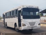 Colectivo Matera Nueva 33