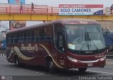 Empresa de Transporte Perú Bus S.A. 355, por Leonardo Saturno