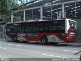 Bus CCS 1289, por Alfredo Montes de Oca