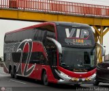 Transzela (Per) 545