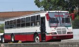 CA - Autobuses de Santa Rosa 08 por Andr�s Ascanio
