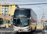 Transportes GM Internacional 687 por Leonardo Saturno