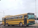 ZU - Colectivos Concepcin 099, por Sebastin Mercado