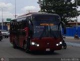 A.C. Transporte Paez 010 por Antonio Mittilo