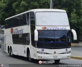 Expresos Occidente 337