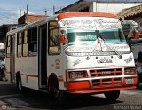 TA - A.C. Lnea Los Capachos 11