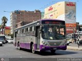 Consorcio del Corredor Morado 465 por Leonardo Saturno