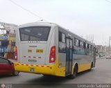Perú Bus Internacional - Corredor Amarillo 2046