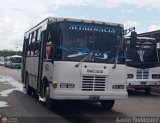 L�nea Altagracia 15 por Aaron Rodr�guez
