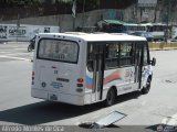 Bus Taguanes 25