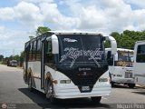 A.C.C. Turgar 97 por M�guel Pino