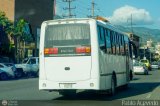 Coop. Transporte Menca de Leoni 120 por Pablo Acevedo