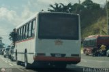A.C. de Transporte Encarnaci�n 347, por Pablo Acevedo