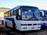 DC - M.S. El Amanecer de la Rinconada 2019 090