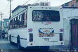 Transporte Bonanza 0036