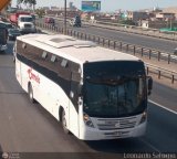 Transportes Carmelo 954 Reco Citybus International 3100FE