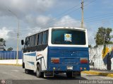 Colectivos El Vig�a 30 por Leonardo Saturno