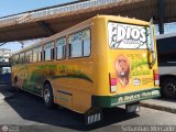 ZU - Colectivos Concepcin 043 por Sebastin Mercado