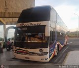 Expresos Occidente 247