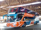 Pullman Bus (Chile) 3832, por Jerson Nova