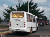 Transporte Gran Mariscal Sucre C.A. 46 por M�guel Pino