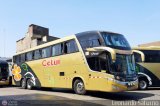 Cetur S.R.L. 956