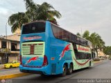 Transportes Occidentales 714, por Leonardo Saturno