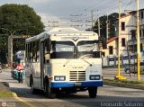 S.C. L�nea Transporte Expresos Del Chama 153