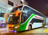 Expreso Internacional Palomino 8018