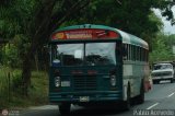 Autobuses de Tinaquillo 11, por Pablo Acevedo