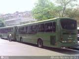 Metrobus Caracas 528, por Alfredo Montes de Oca