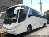 Transporte Clavellino 229, por Otto Ferrer