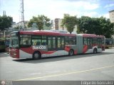 Bus CCS 0127, por Edgardo Gonzlez