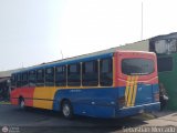 Colectivos Perij 27