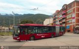 Trolmerida - Tromerca 02