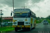 Ruta Urbana de Higuerote-MI 101