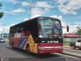 Sistema Integral de Transporte Superficial S.A 6541, por Miguel Pino