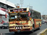 Transporte Unido (VAL - MCY - CCS - SFP) 038, por Oliver Castillo