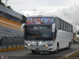 Bus Ven 3311
